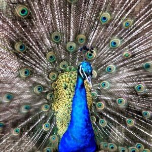 Meet your Posher, Tabitha